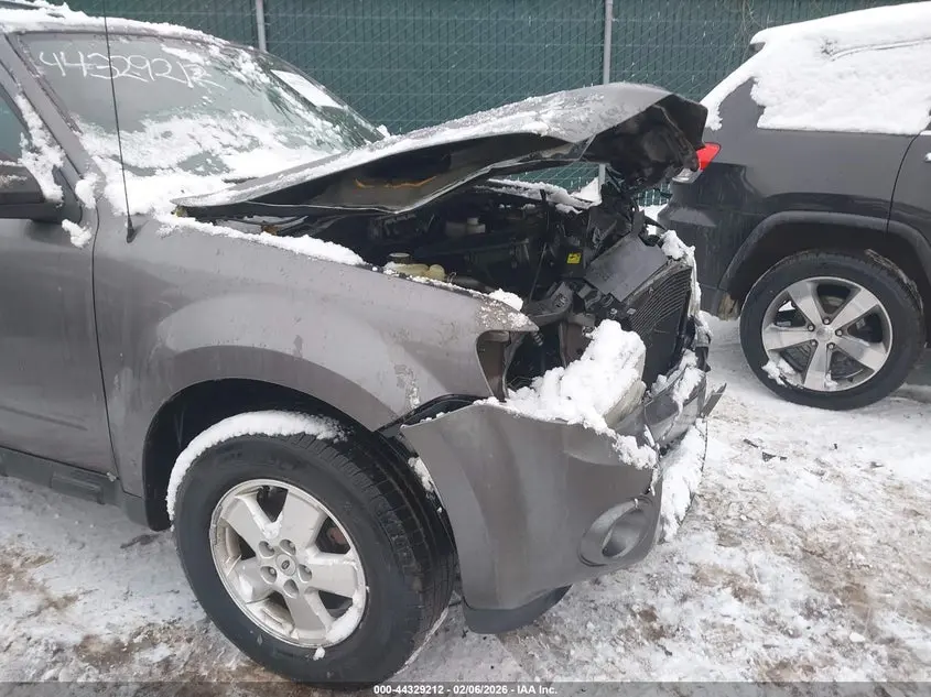 2010 FORD ESCAPE XLT