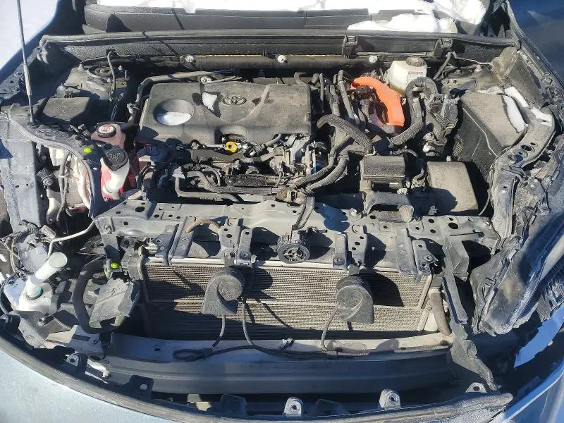 2021 TOYOTA VENZA LE  