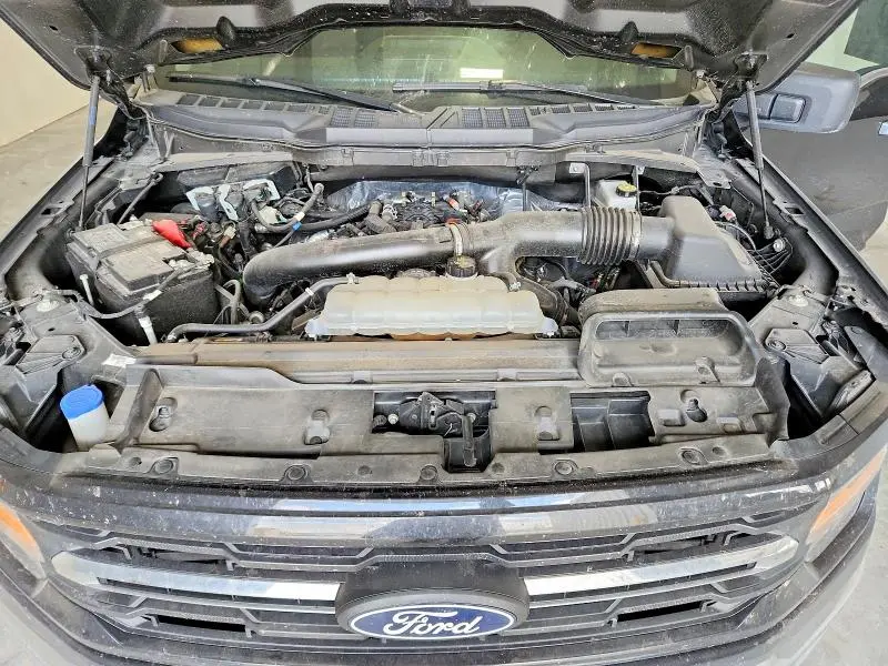 2025 FORD F150 XLT  