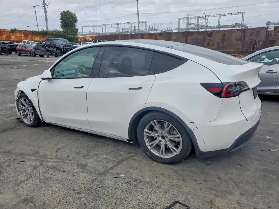 2020 TESLA MODEL Y   