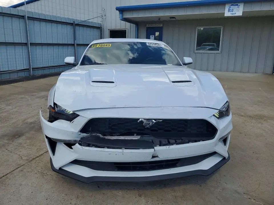 2019 FORD MUSTANG   