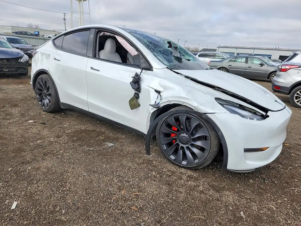 2025 TESLA MODEL Y   
