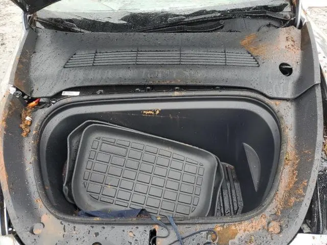 2025 TESLA MODEL Y   