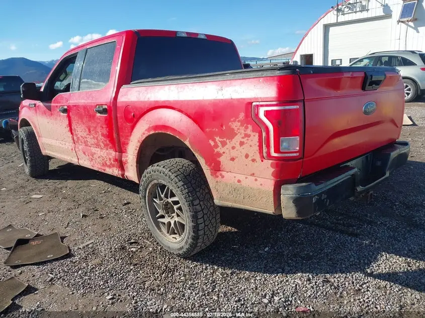 2015 FORD F-150 XLT