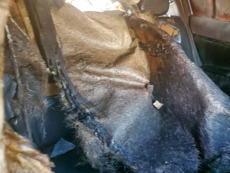 2014 KIA SPORTAGE BASE  