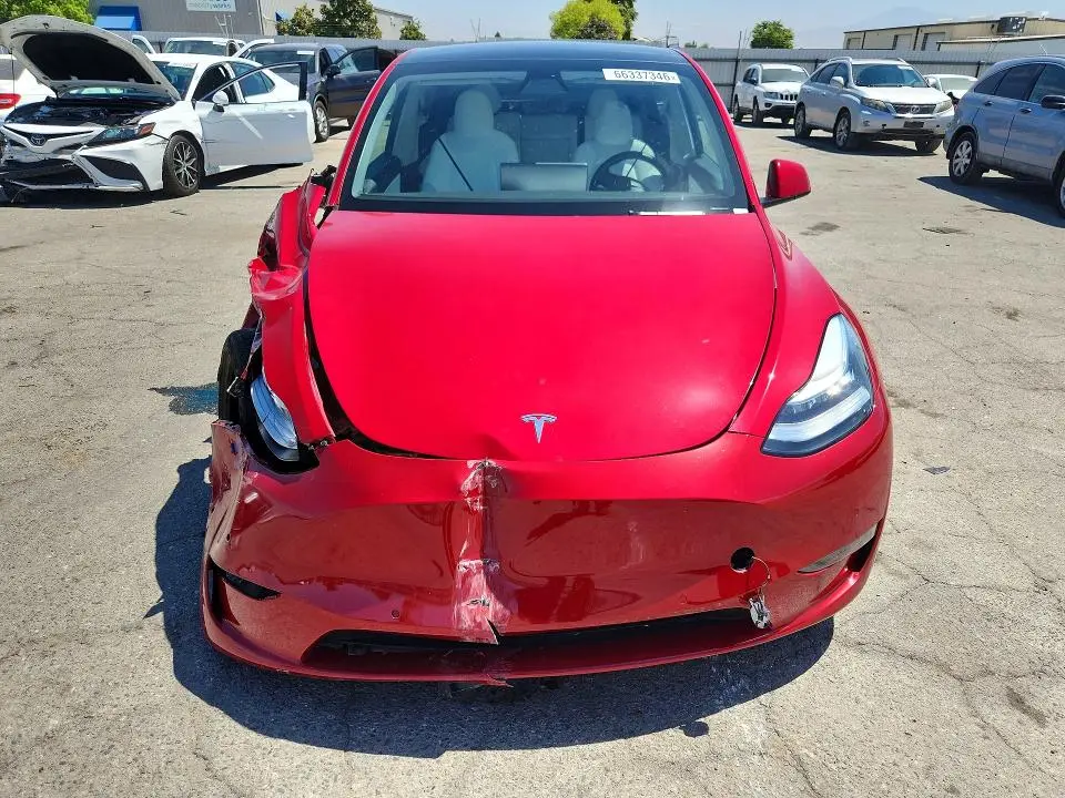 2021 TESLA MODEL Y   