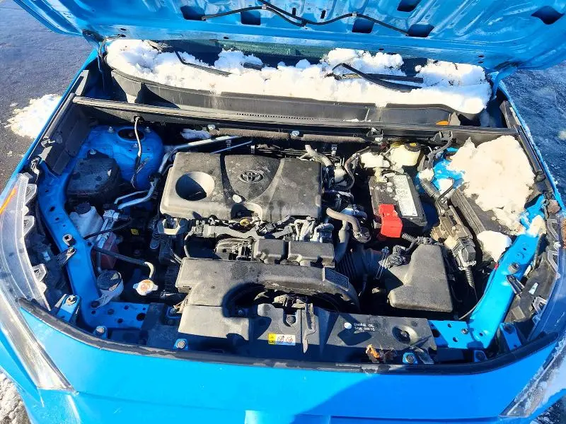 2019 TOYOTA RAV4 LE  