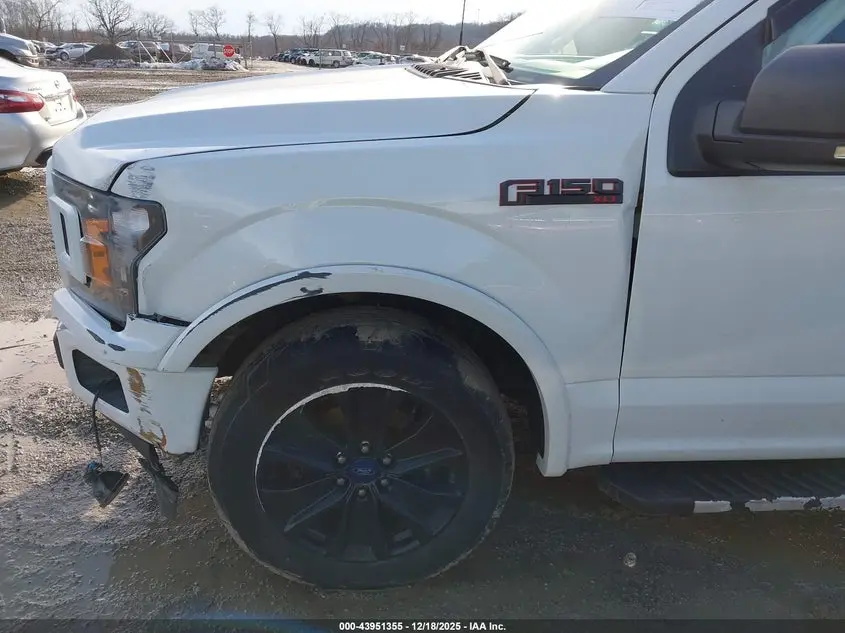 2019 FORD F-150 XLT