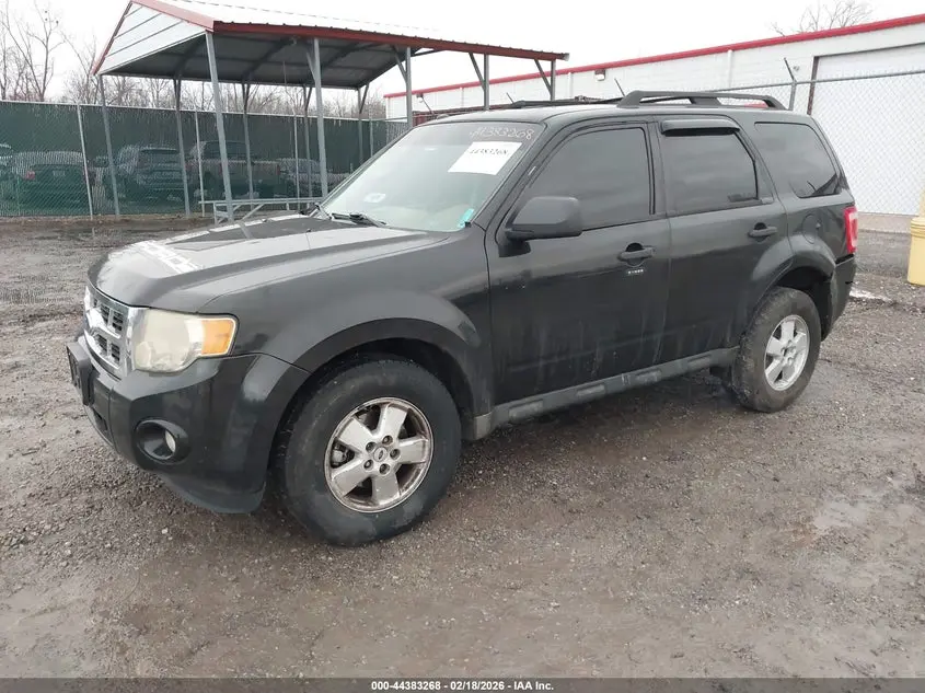 2011 FORD ESCAPE XLT
