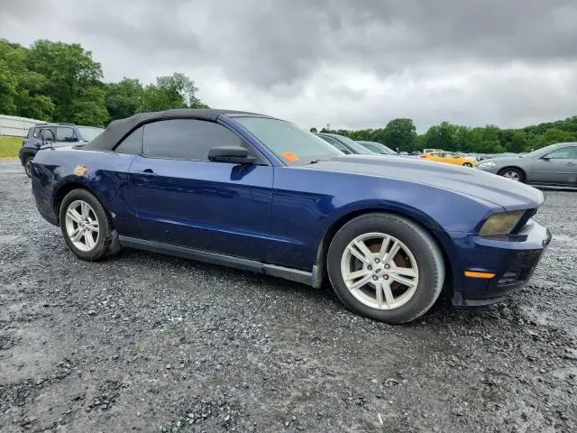 2010 FORD MUSTANG   