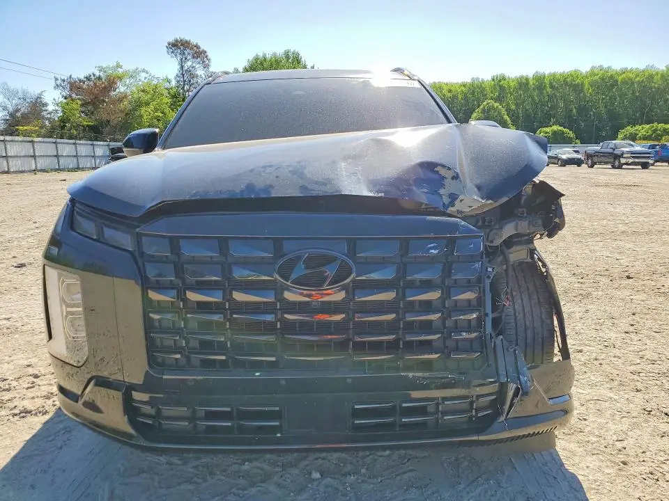 2024 HYUNDAI PALISADE CALLIGRAPHY NIGHT EDITION  