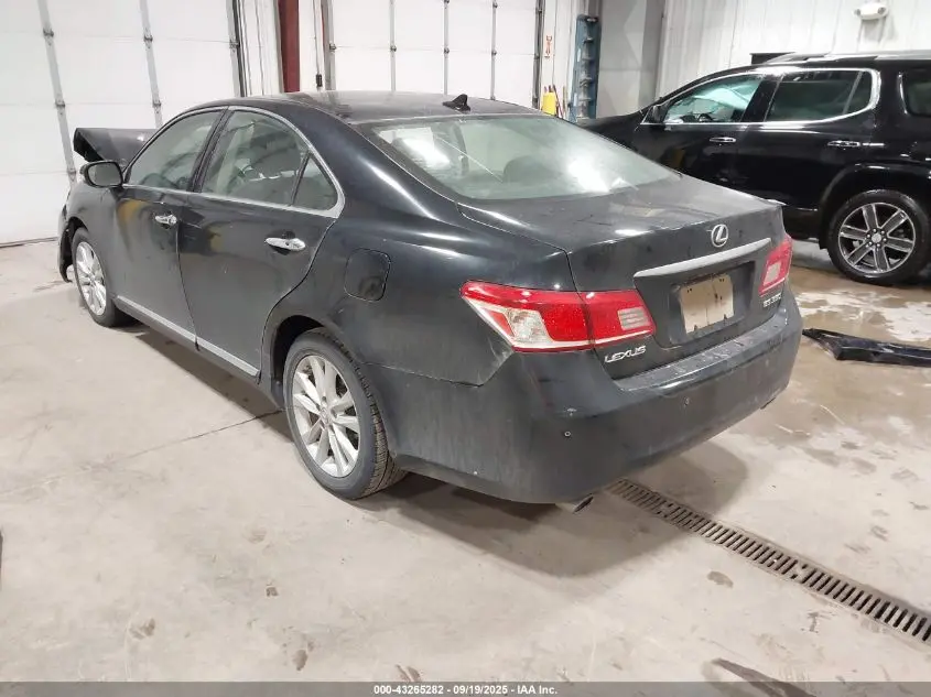 2010 LEXUS ES 350  