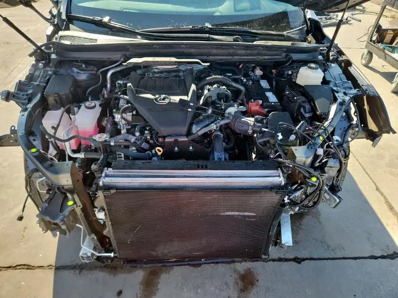 2025 LEXUS RX 350 BASE  