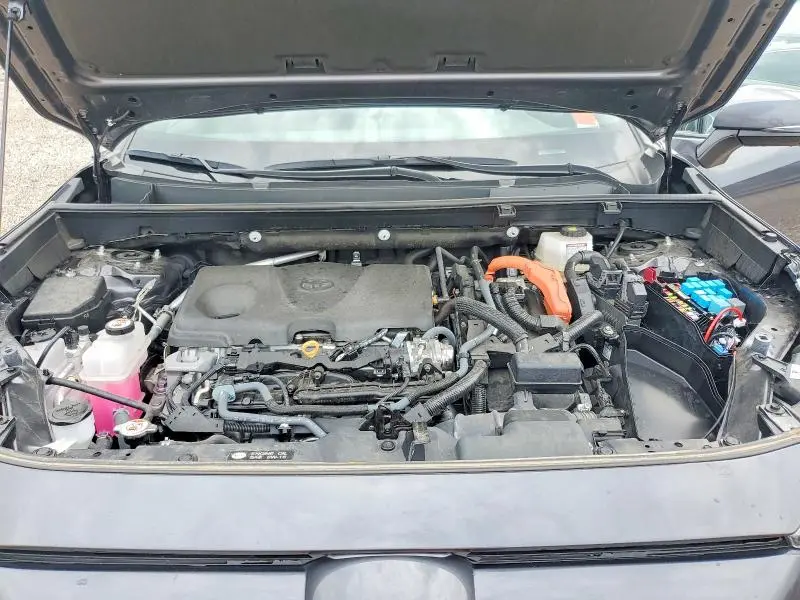 2023 TOYOTA RAV4 SE  