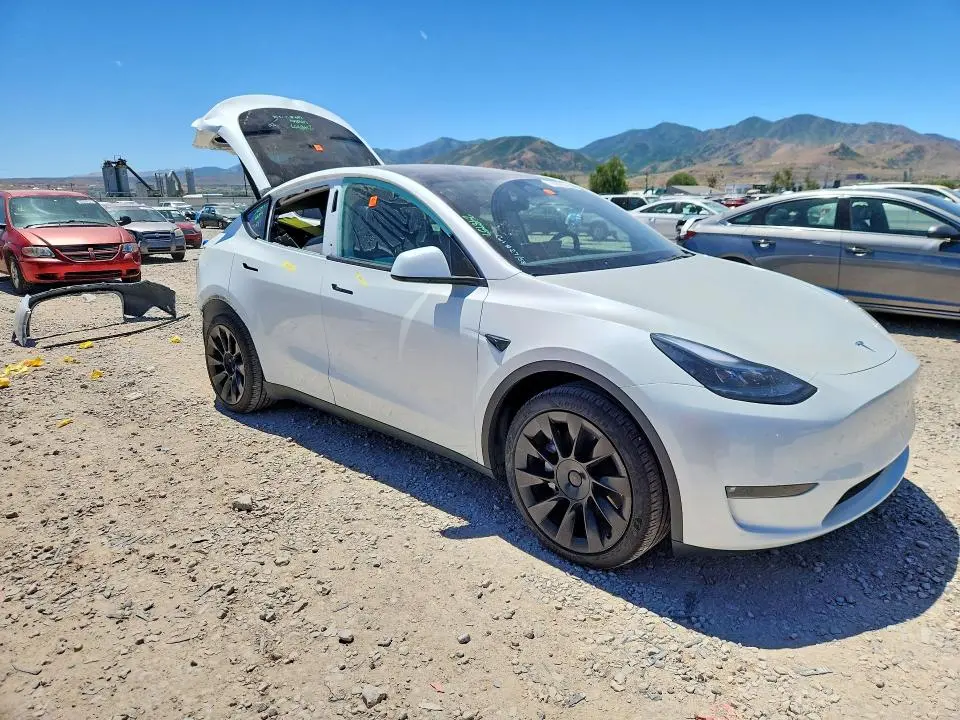 2025 TESLA MODEL Y   