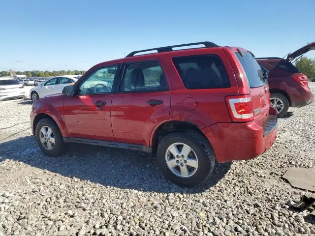 2010 FORD ESCAPE XLT  