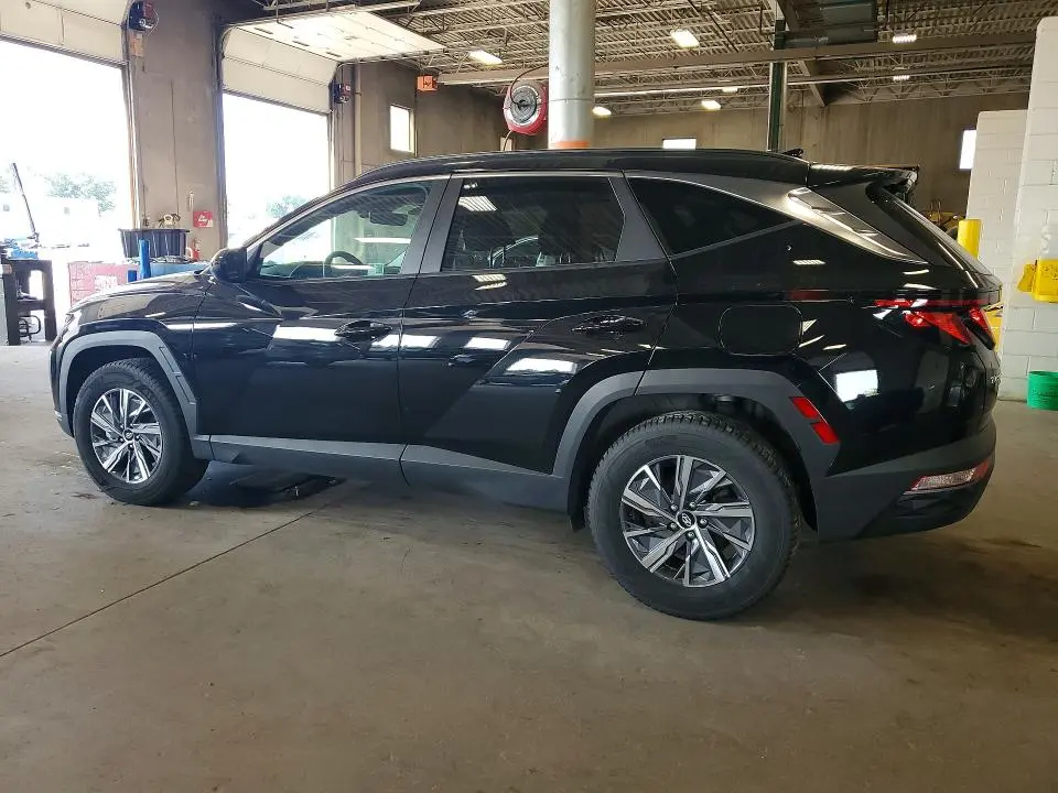 2024 HYUNDAI TUCSON BLUE  