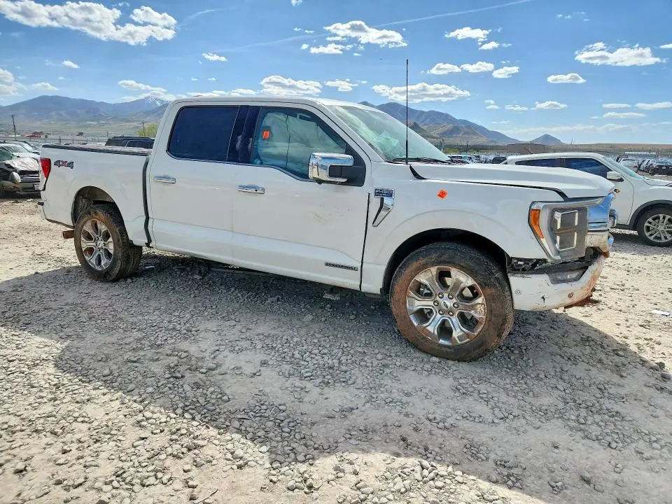 2023 FORD F150 SUPERCREW  