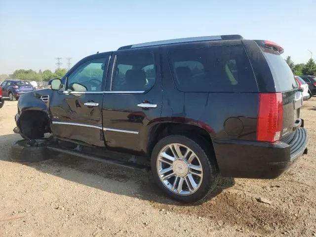 2010 CADILLAC ESCALADE PLATINUM