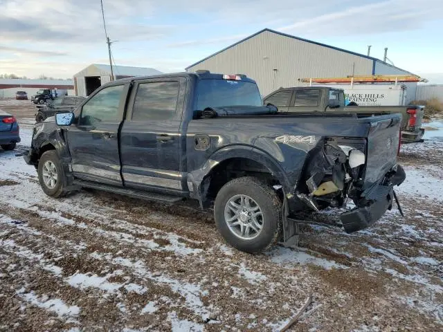 2024 FORD F150 XL  