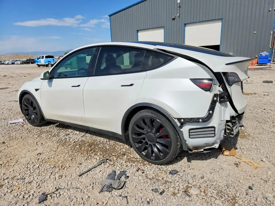 2021 TESLA MODEL Y   