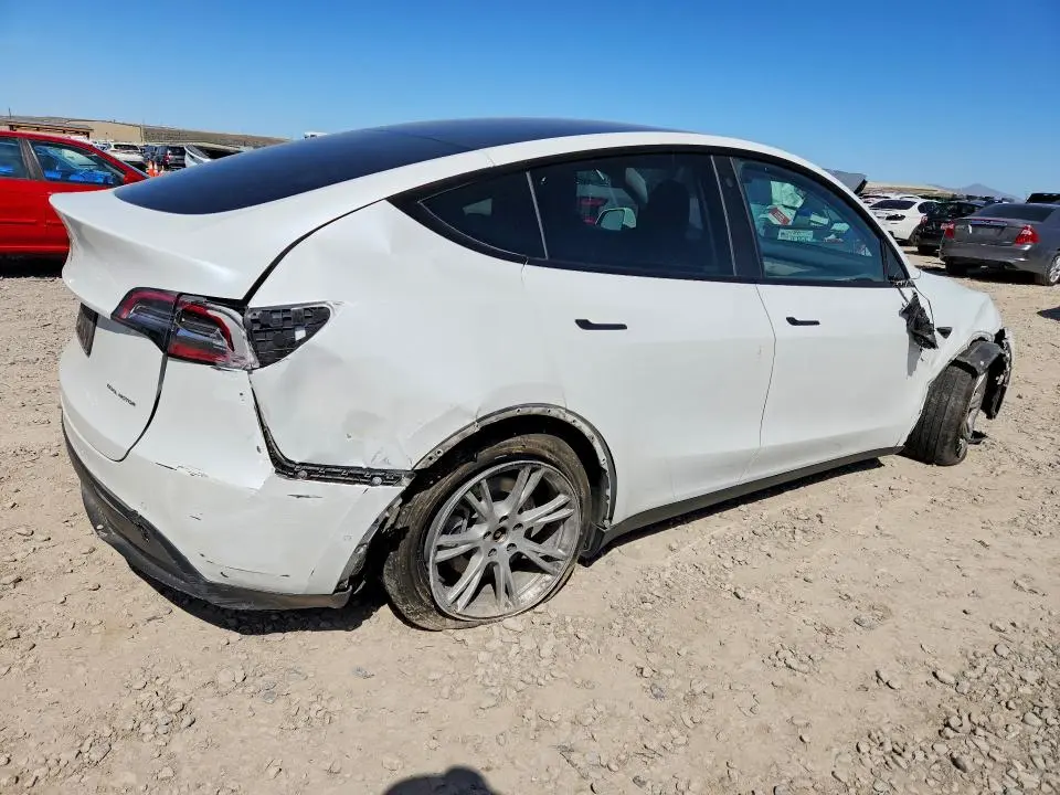 2021 TESLA MODEL Y   