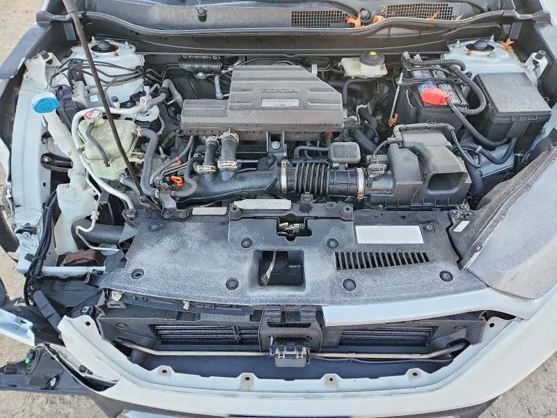 2019 HONDA CR-V EXL  