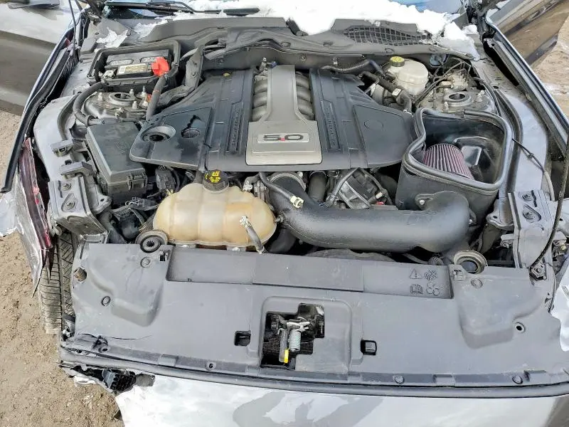 2019 FORD MUSTANG GT  