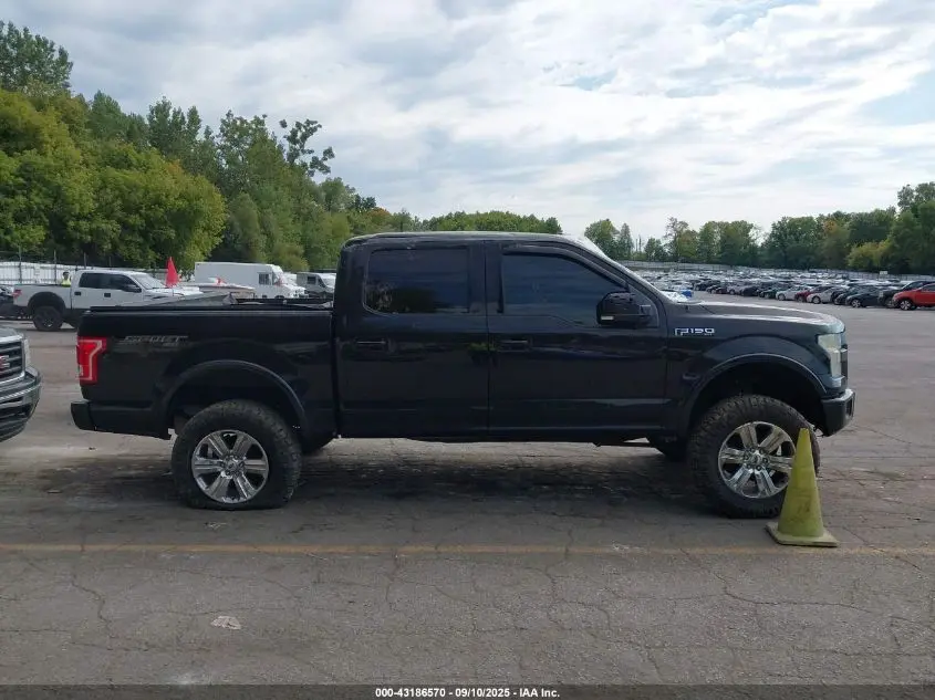 2015 FORD F-150 XLT