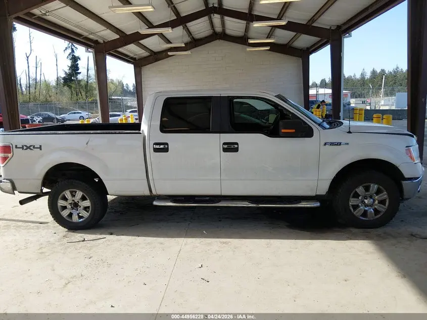 2010 FORD F-150 FX4/HARLEY-DAVIDSON/KING RANCH/LARIAT/PLATINUM/XL/XLT