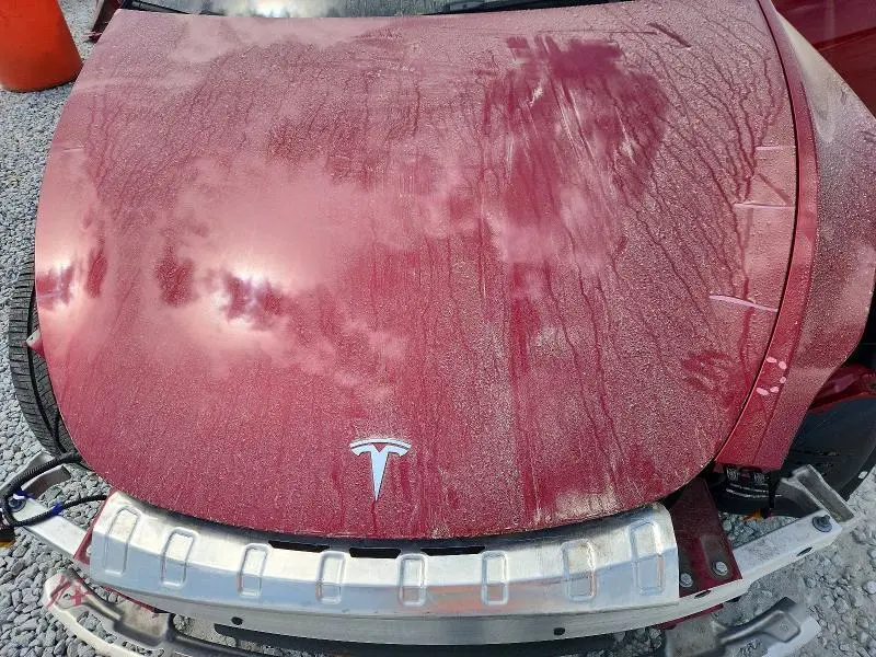 2025 TESLA MODEL Y   