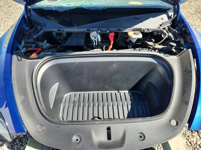 2025 TESLA MODEL Y   