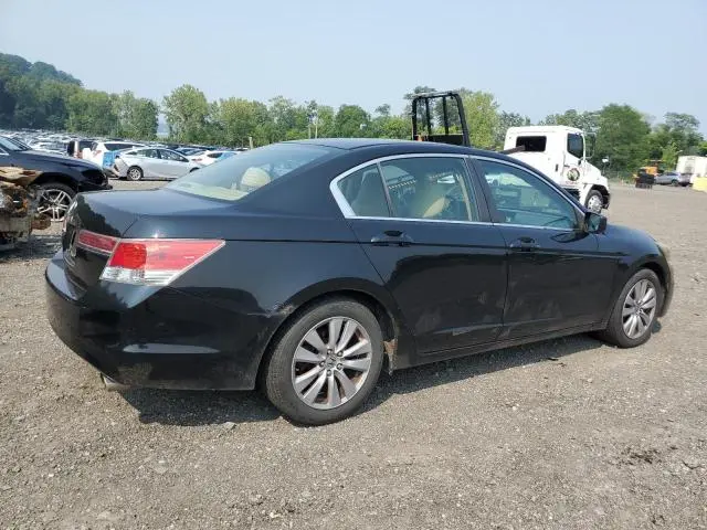 2010 HONDA ACCORD EXL  