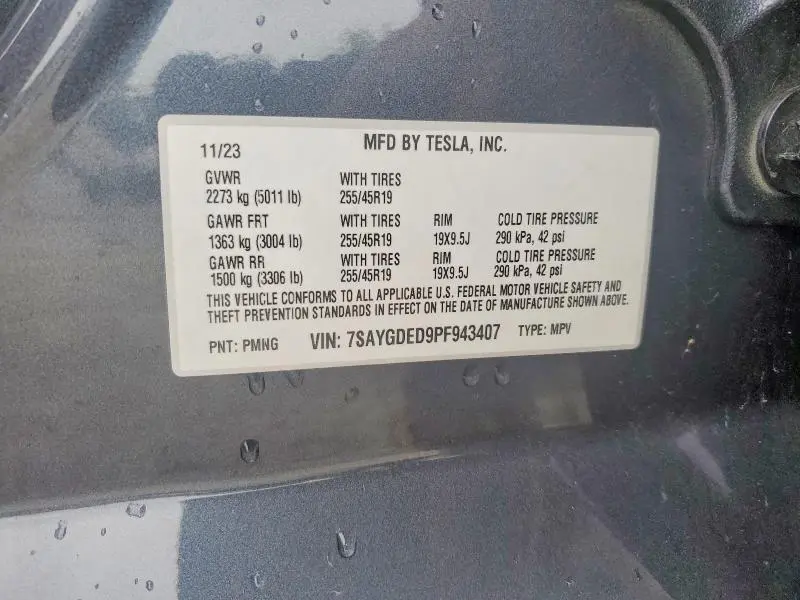 2023 TESLA MODEL Y   