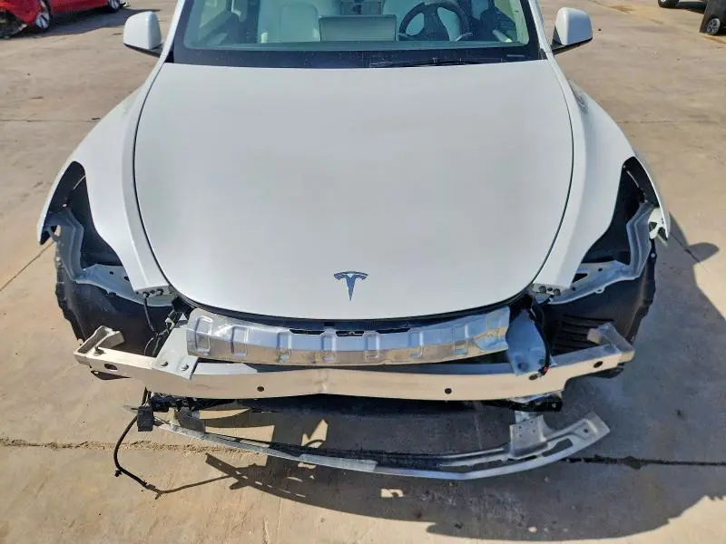 2025 TESLA MODEL Y   