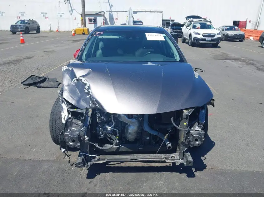 2019 TOYOTA CAMRY XLE V6
