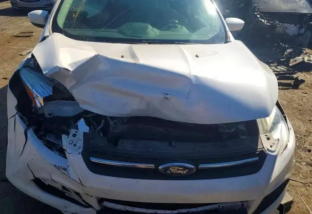 2014 FORD ESCAPE SE  