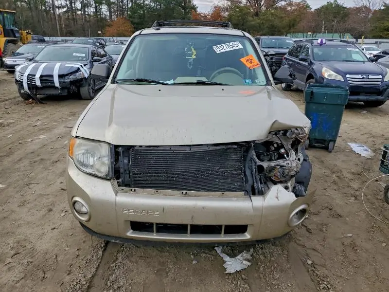 2010 FORD ESCAPE XLT  