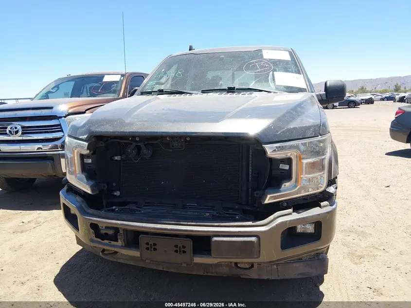 2019 FORD F-150 XLT
