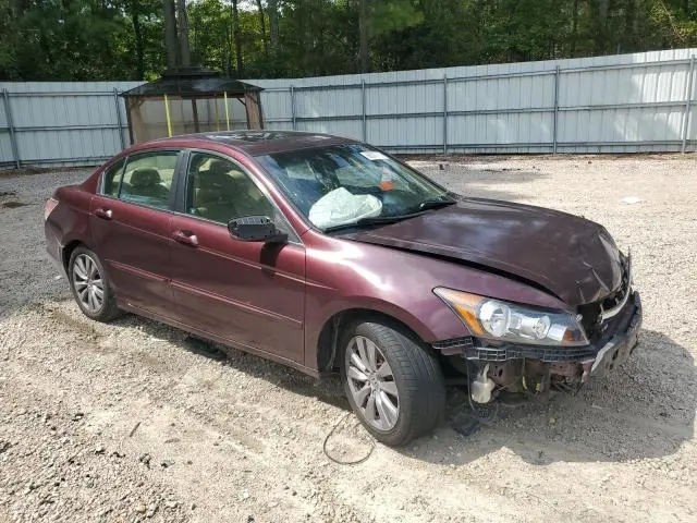 2011 HONDA ACCORD EXL  