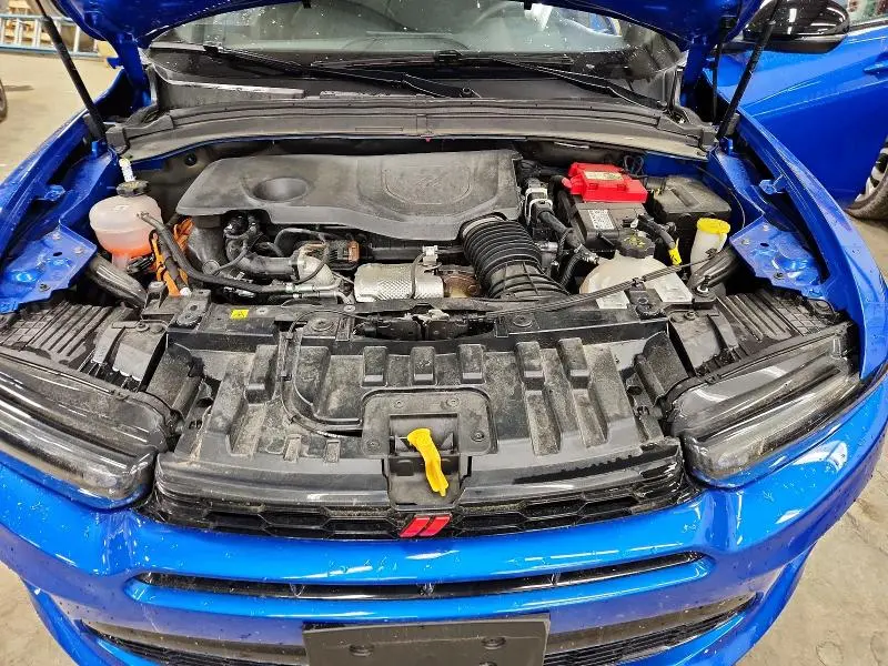 2024 DODGE HORNET R  