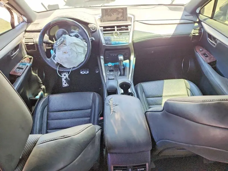 2019 LEXUS NX 300 F SPORT  