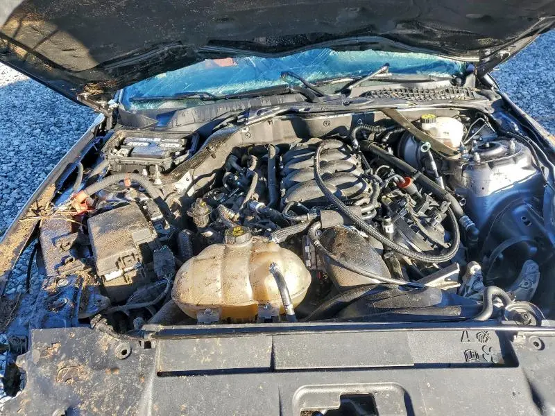 2021 FORD MUSTANG GT  