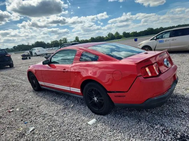 2010 FORD MUSTANG   