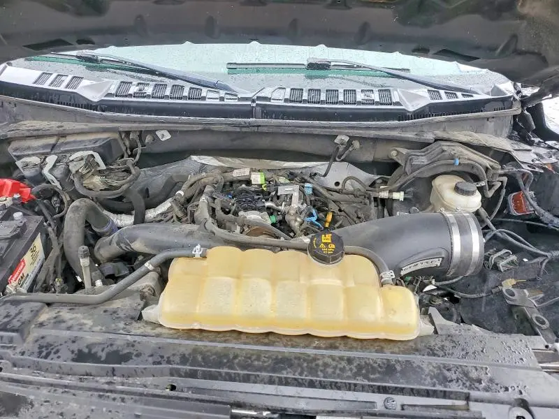 2019 FORD F150   