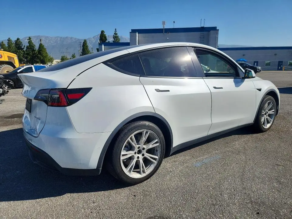 2021 TESLA MODEL Y   