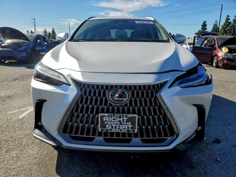 2024 LEXUS NX 350H BASE  