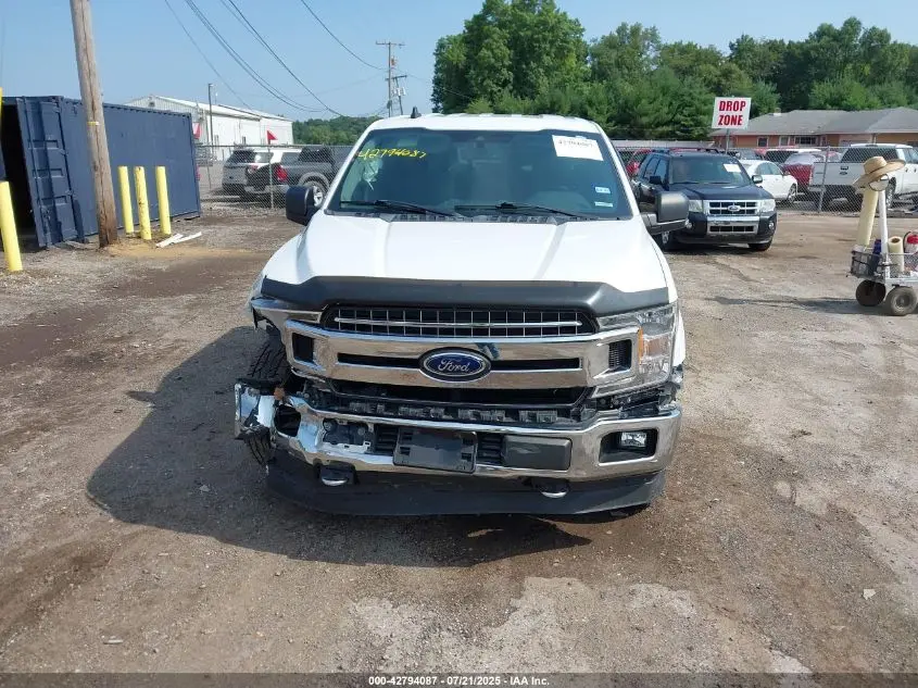 2019 FORD F-150 XLT