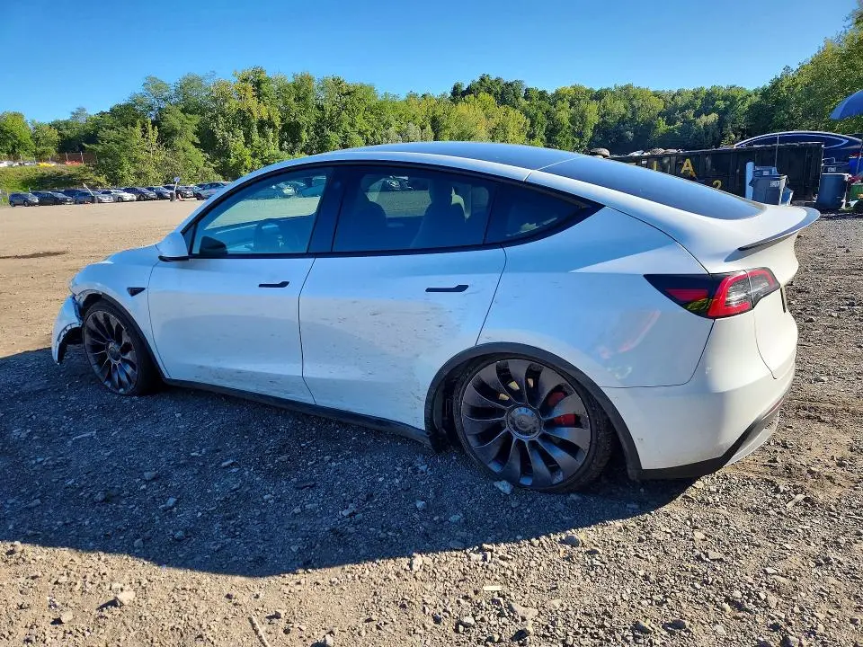 2023 TESLA MODEL Y   