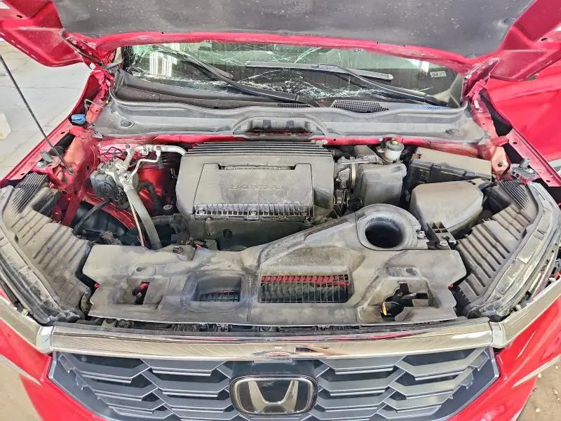 2025 HONDA PILOT EXL  